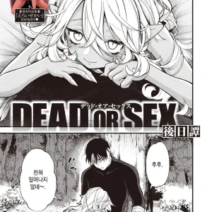 DEAD OR SEX Gojitsutan | DEAD OR SEX -후일담-