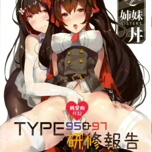 TYPE95&97 Maintenance Report