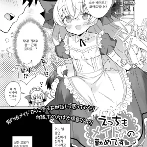 Ecchi mo Maid ♂ no Tsutome Desu