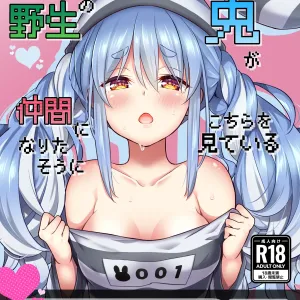Yasei no Usagi ga Nakama ni Naritasou ni Kochira wo Miteiru