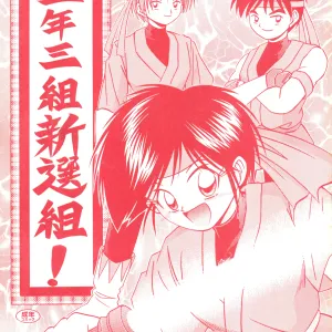 Gonen Sankumi Shinsengumi!