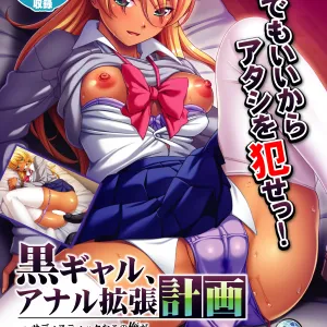Kuro Gal, Anal Kakuchou Keikaku ~Sadistic na Kono Ore ga, Futsuu no Sex o Suru to wa Omouna yo~