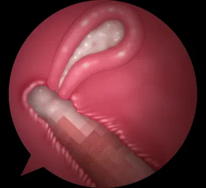 웹툰 이미지 46