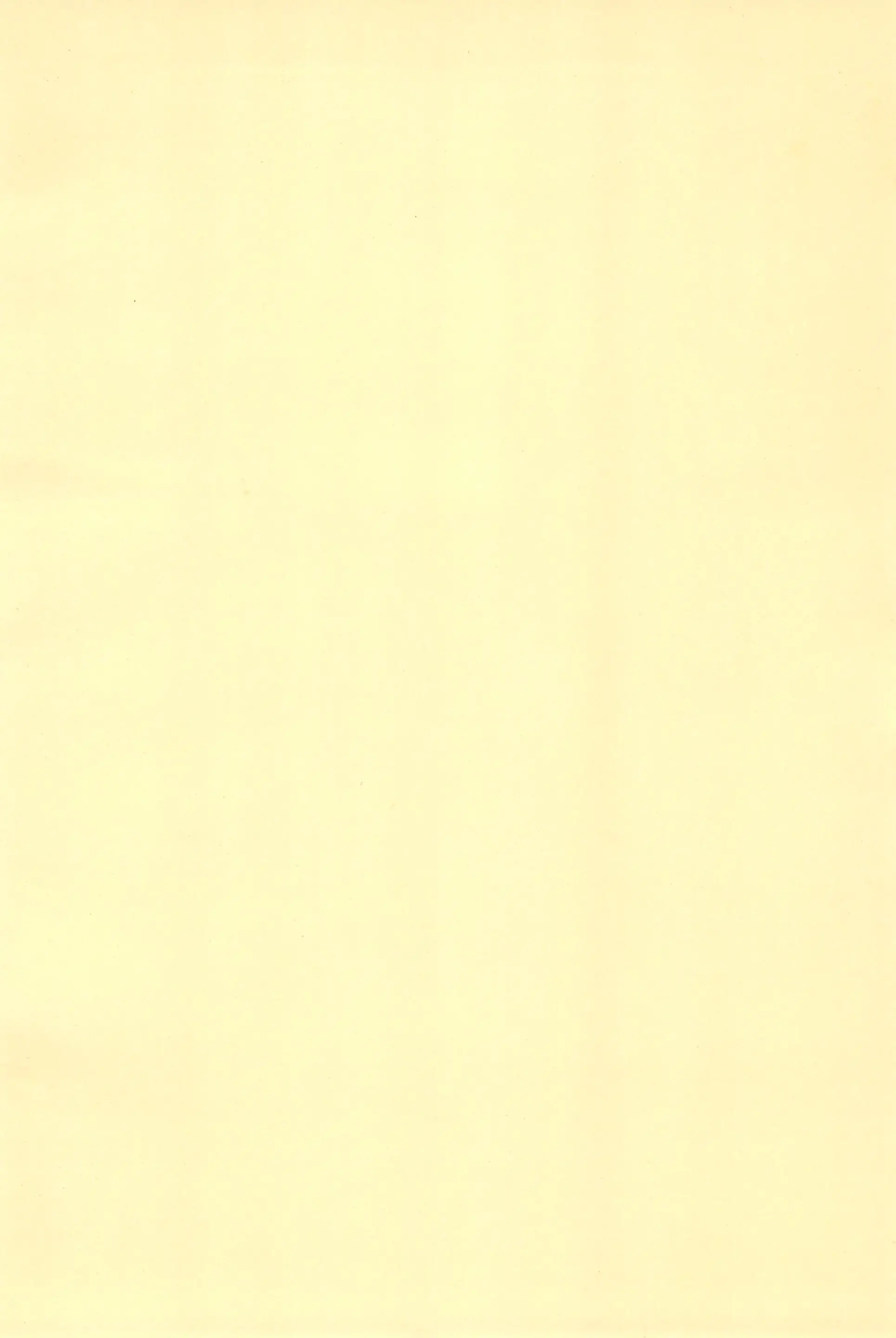 웹툰 이미지 41
