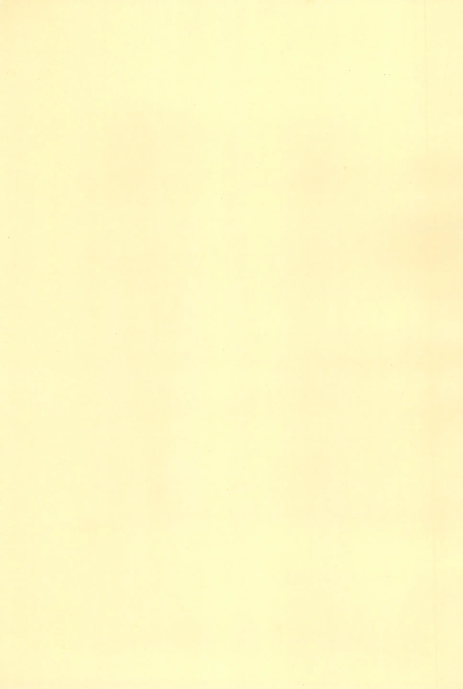 웹툰 이미지 38
