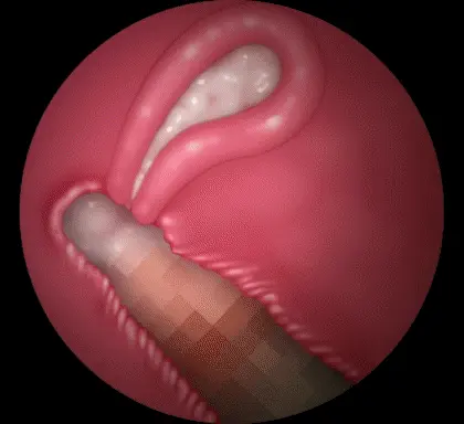 웹툰 이미지 30