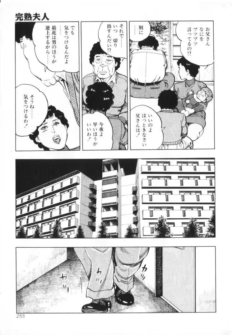 웹툰 이미지 256