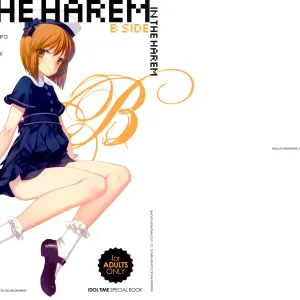 IN THE HAREM B SIDE