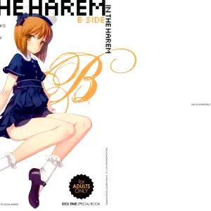 IN THE HAREM B SIDE | En el Harem - Parte B