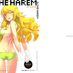 IN THE HAREM A SIDE | En el Harem - Parte A