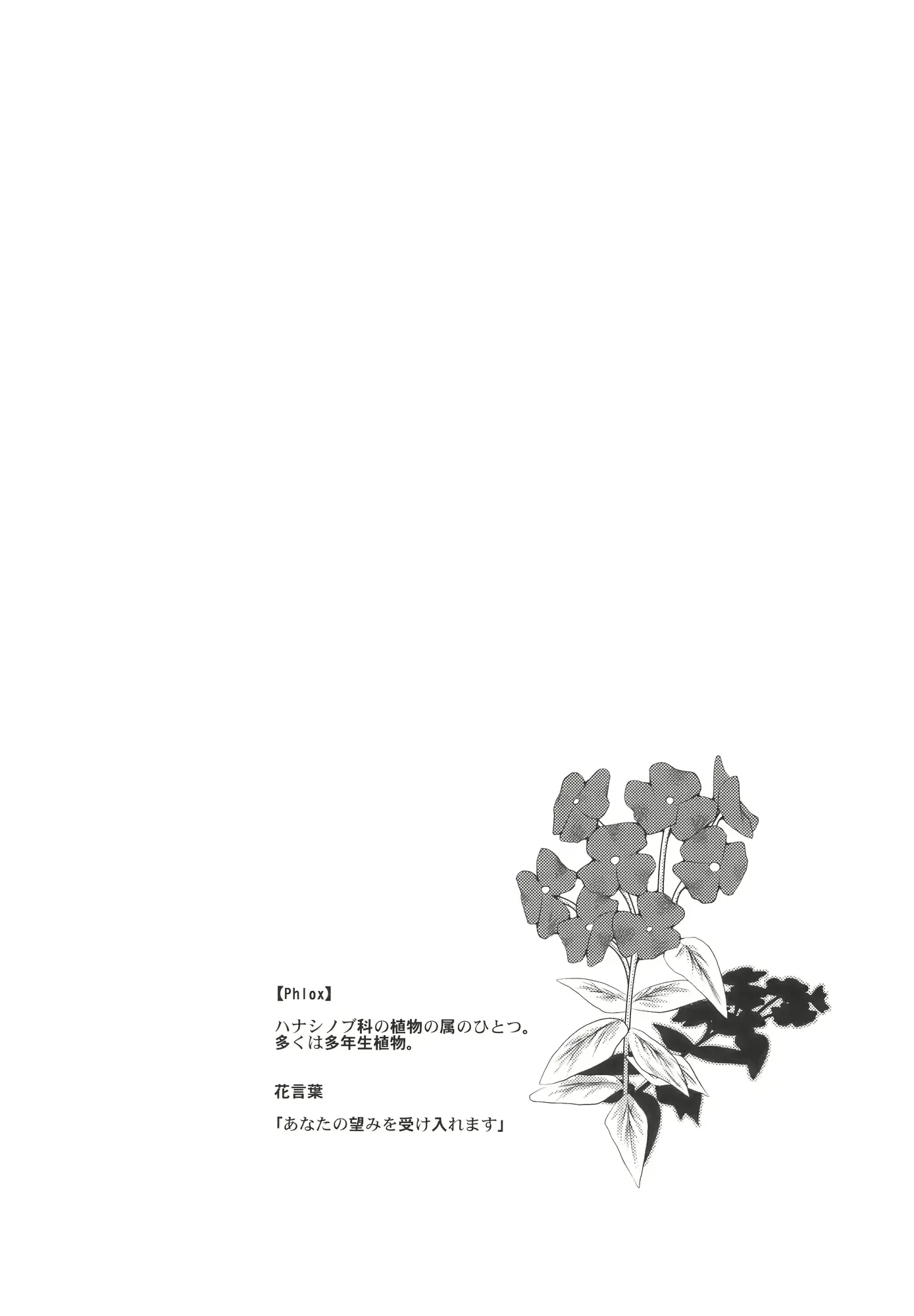 웹툰 이미지 33