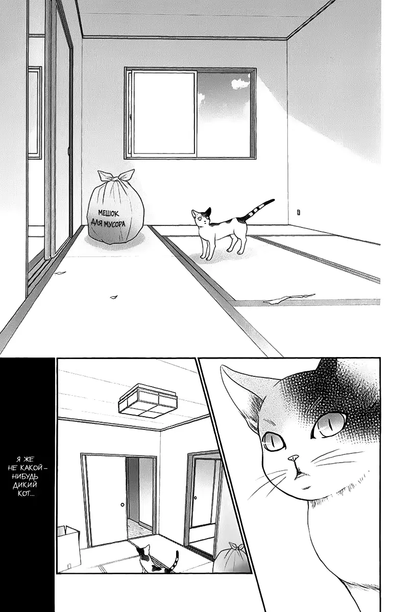 웹툰 이미지 173