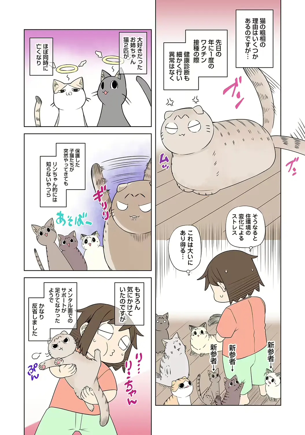 웹툰 이미지 251