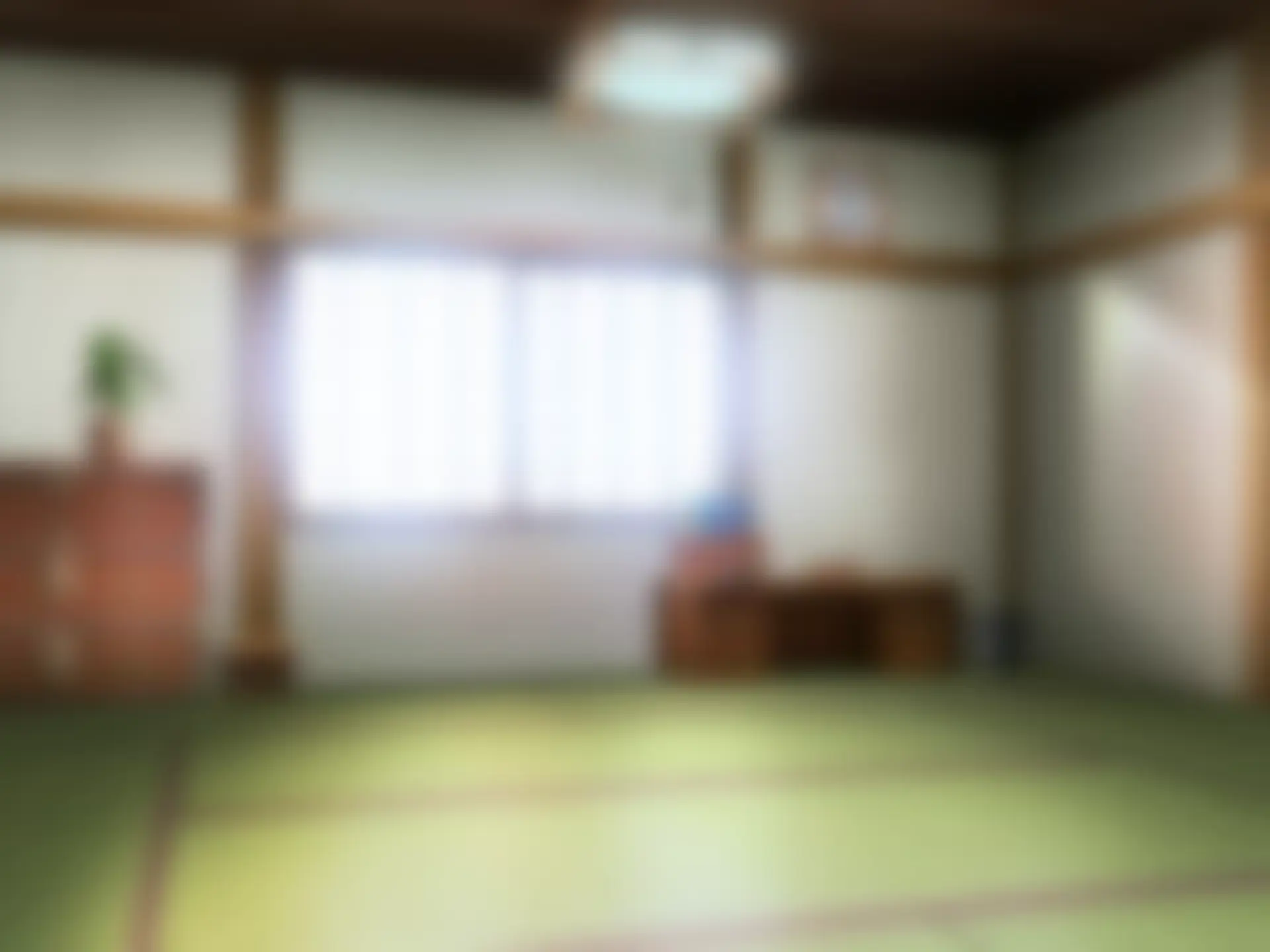 웹툰 이미지 237