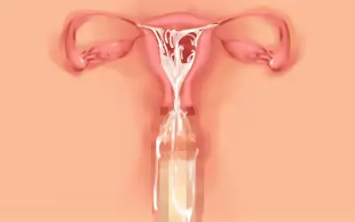 웹툰 이미지 21
