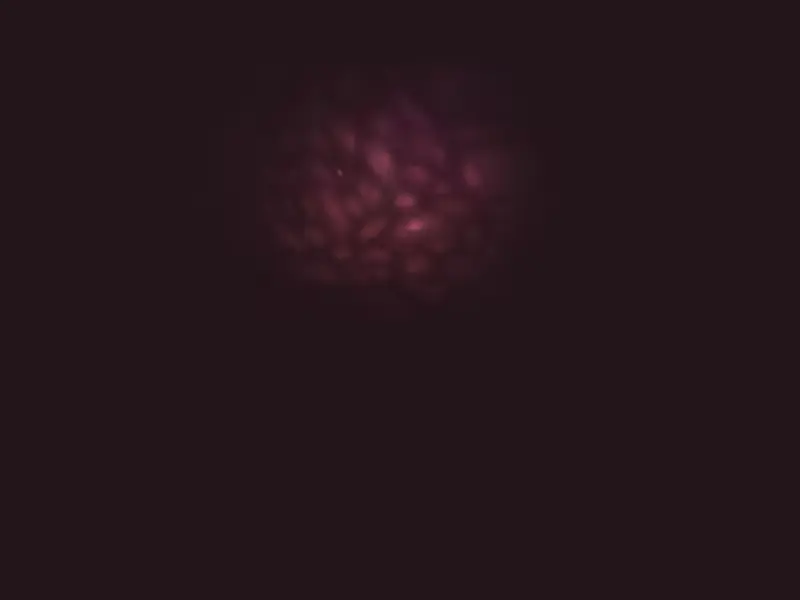 웹툰 이미지 48