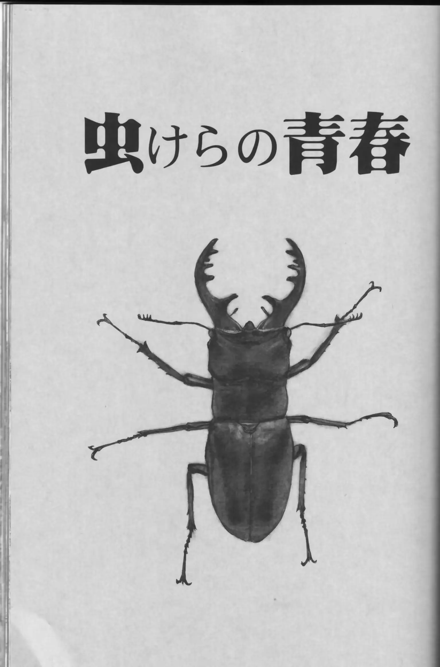 웹툰 이미지 42