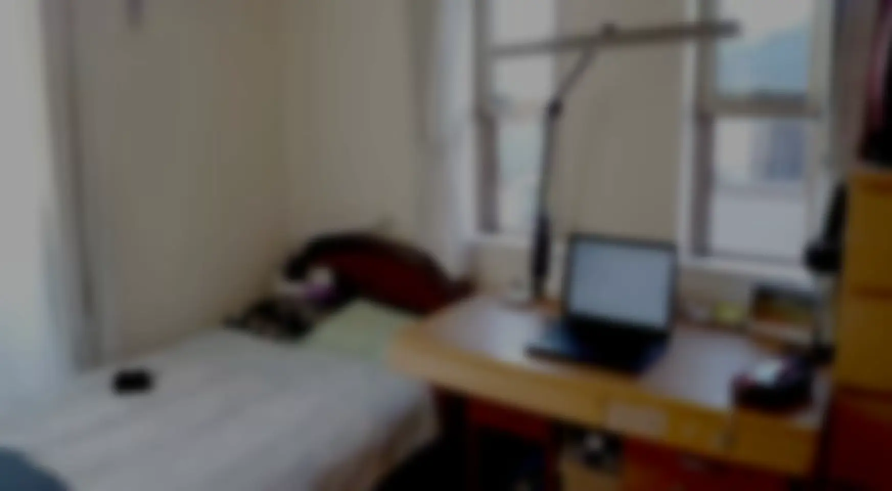 웹툰 이미지 260
