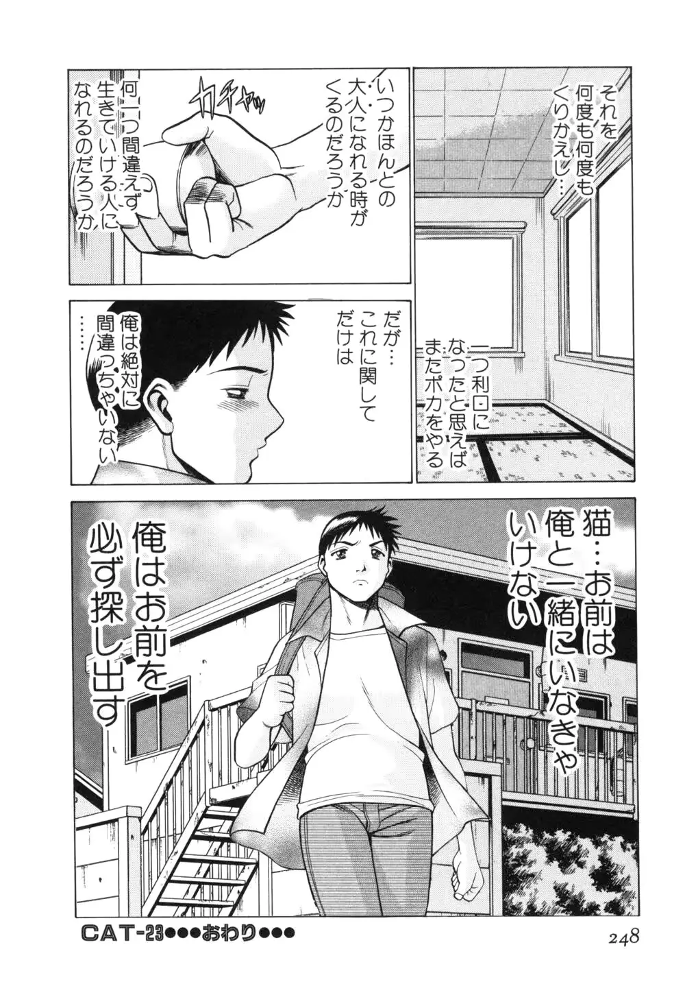웹툰 이미지 250