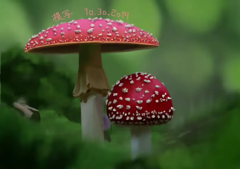 웹툰 이미지 195