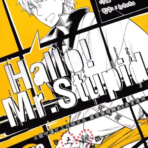 Hallo! Mr.Stupid