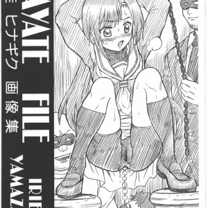 HAYATE FILE Katsura Hinagiku Gazoushuu
