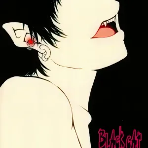 Black Cat