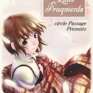 Little Fragments
