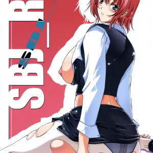 SBJ_R^3
