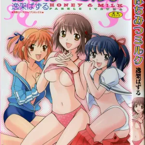 Hachimitsu Milk - Honey & Milk