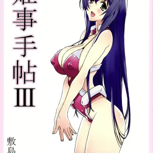 Himegoto Techou III