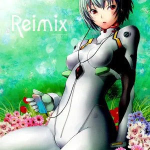 Reimix