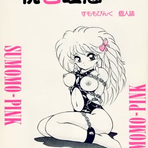 momoirotoiki