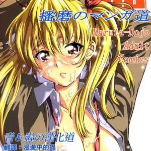 School Rumble Harima no Manga Michi