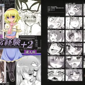 Ijou Keiken +2