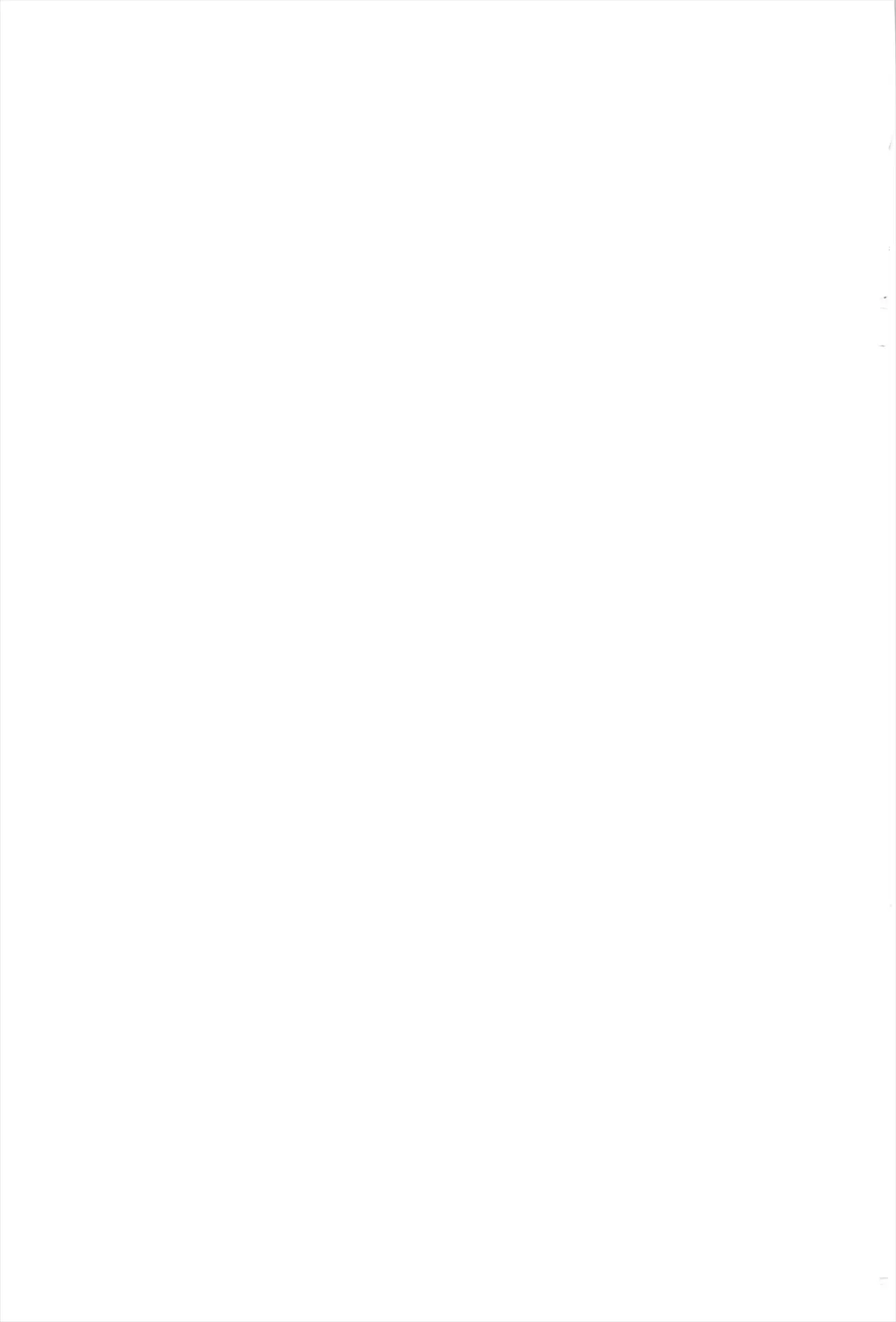 웹툰 이미지 202