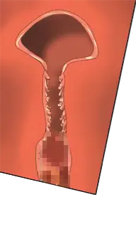 웹툰 이미지 207
