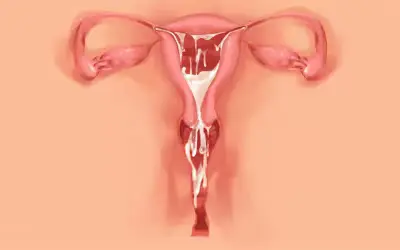 웹툰 이미지 75