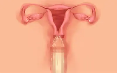 웹툰 이미지 65