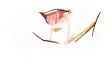 웹툰 이미지 34