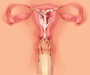 웹툰 이미지 87