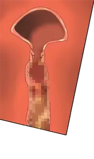 웹툰 이미지 208
