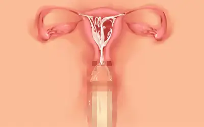 웹툰 이미지 66
