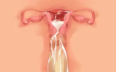 웹툰 이미지 81
