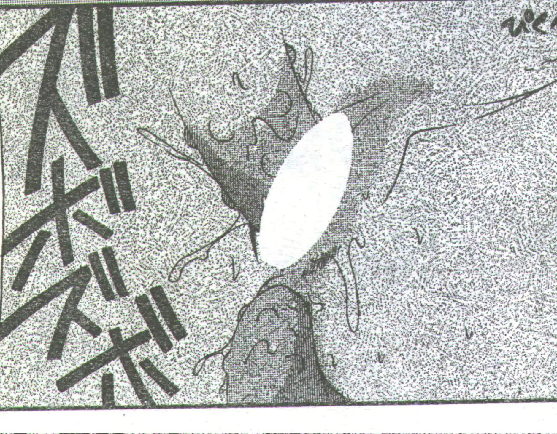 웹툰 이미지 194