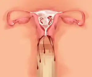 웹툰 이미지 136