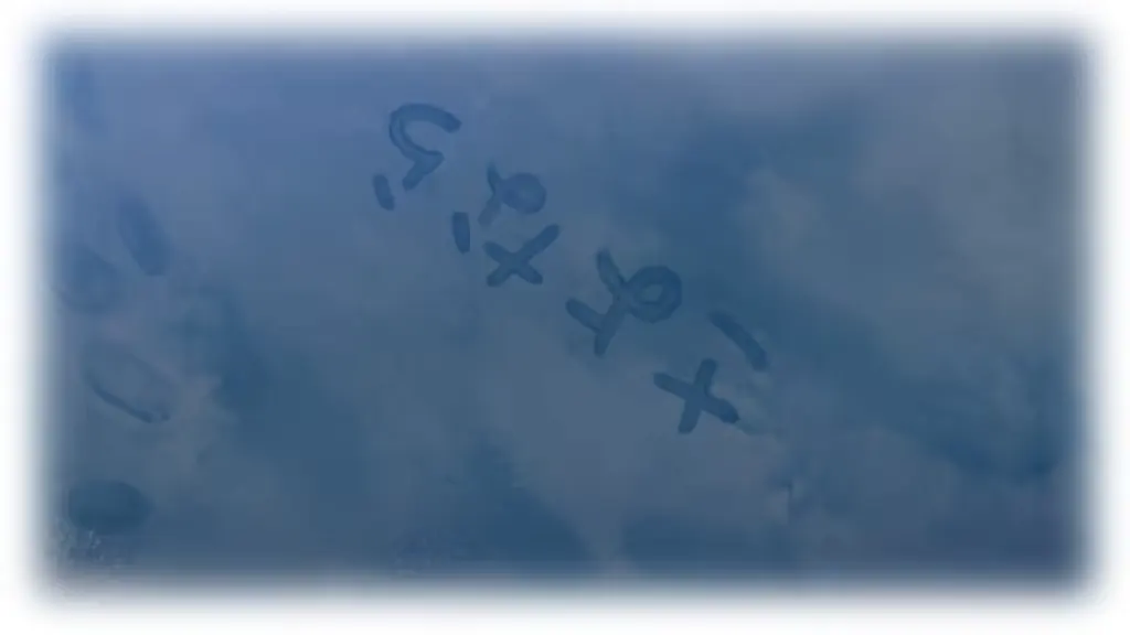 웹툰 이미지 360