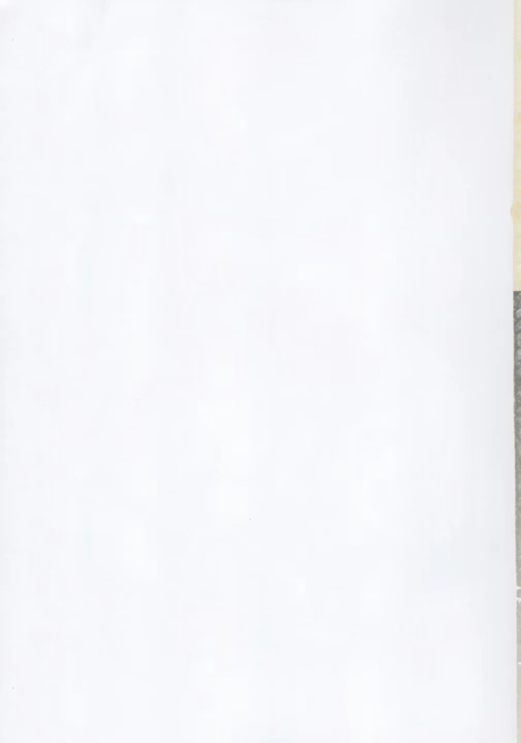웹툰 이미지 30