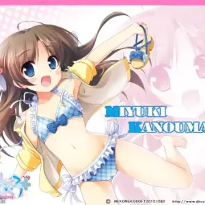 Neko NatsuComi Set Petit Fan Disk