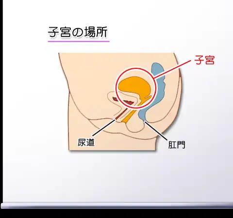 웹툰 이미지 418